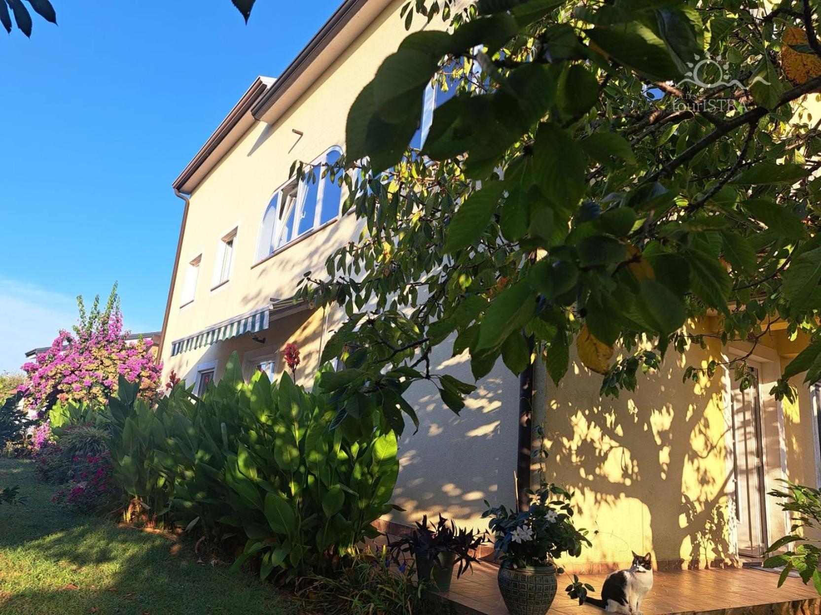 Bozica House With Apartments Murine 外观 照片